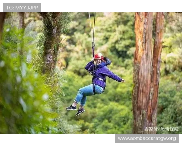 百家打法技巧详解帮助新手玩家快速入门实现游戏水平飞跃